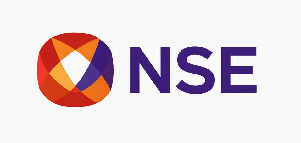 NSE Logo